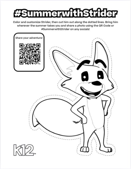 Strider flyer