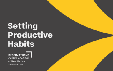 Setting Productive Habits
